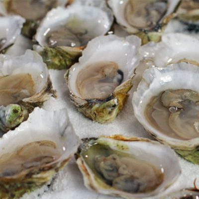 How to Shuck an Oyster|