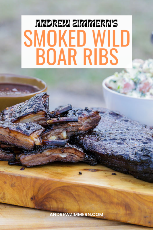 Wild Boar Ribs Recipes