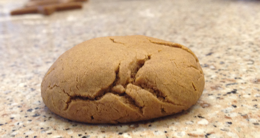 Triple Ginger Chocolate Chip Cookies - Andrew Zimmern