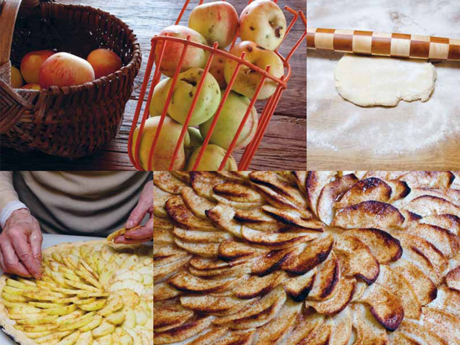 judith Archives Andrew Zimmern