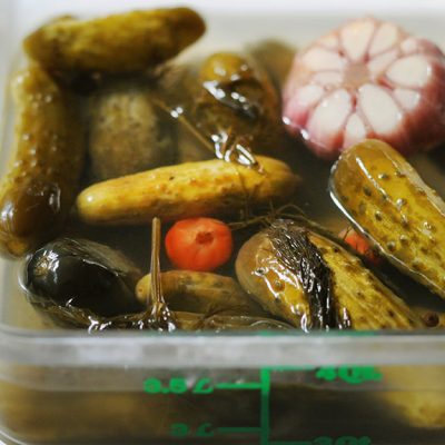 Lacto-Fermented Pickles|German-Style Crock|Lacto-Fermented Pickles|