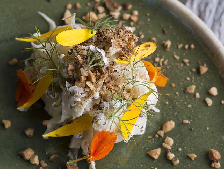 Fennel Salad, Cottage Cheese & Spiced Nuts - Andrew Zimmern