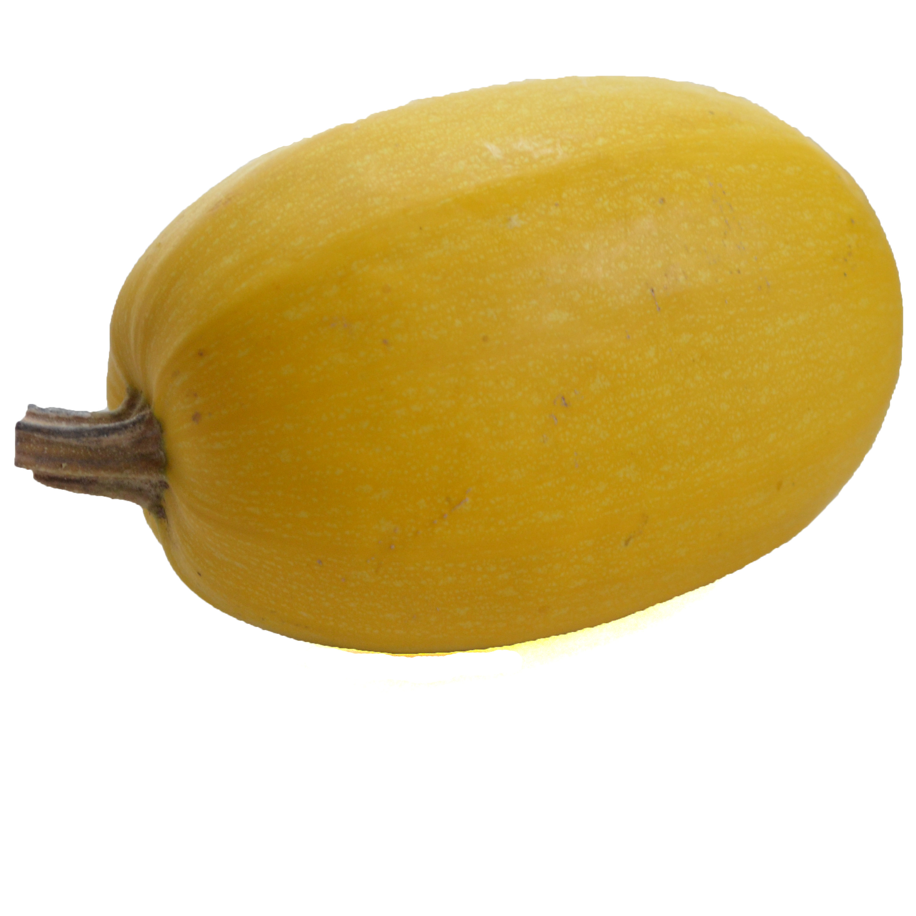Spaghetti Squash: Sweet, stringy squash light yellow skin. Ideal in gratins or casseroles, or as a replacement for pasta.