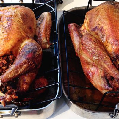 Thanksgiving Turkeys||