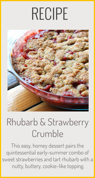 Spotlight on Rhubarb - Andrew Zimmern